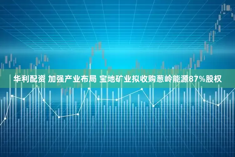 华利配资 加强产业布局 宝地矿业拟收购葱岭能源87%股权