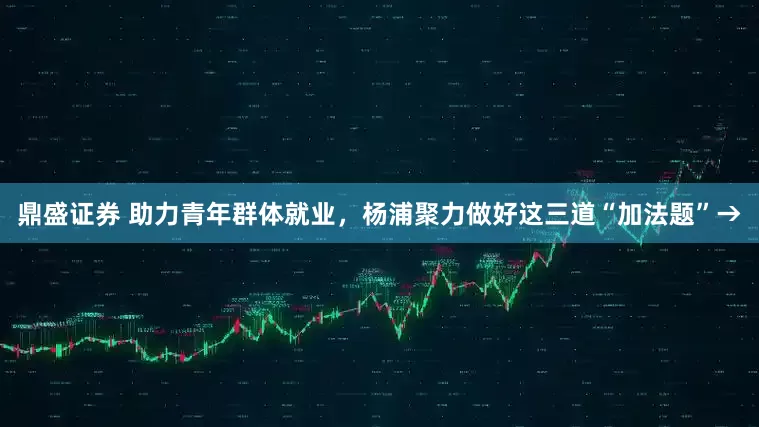 鼎盛证券 助力青年群体就业，杨浦聚力做好这三道“加法题”→