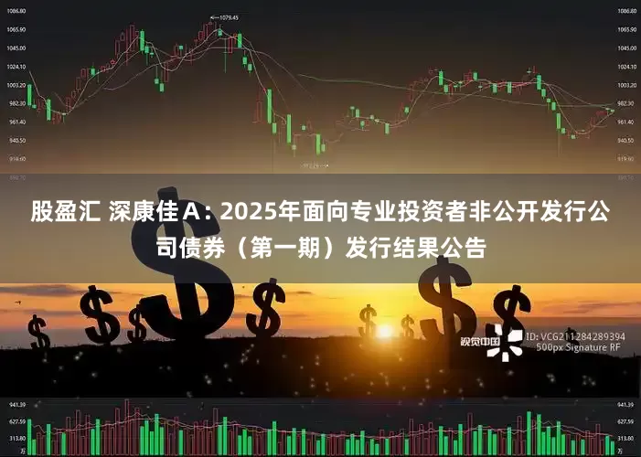 股盈汇 深康佳A: 2025年面向专业投资者非公开发行公司债券(第一期)发行结果公告